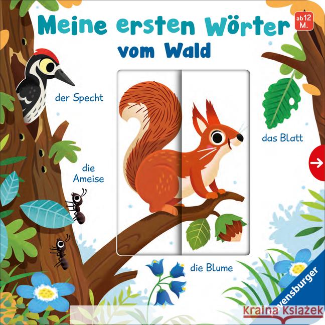 Meine ersten Wörter vom Wald - Sprechen lernen mit großen Schiebern und Sachwissen für Kinder ab 12 Monaten Frank, Cornelia 9783473417711