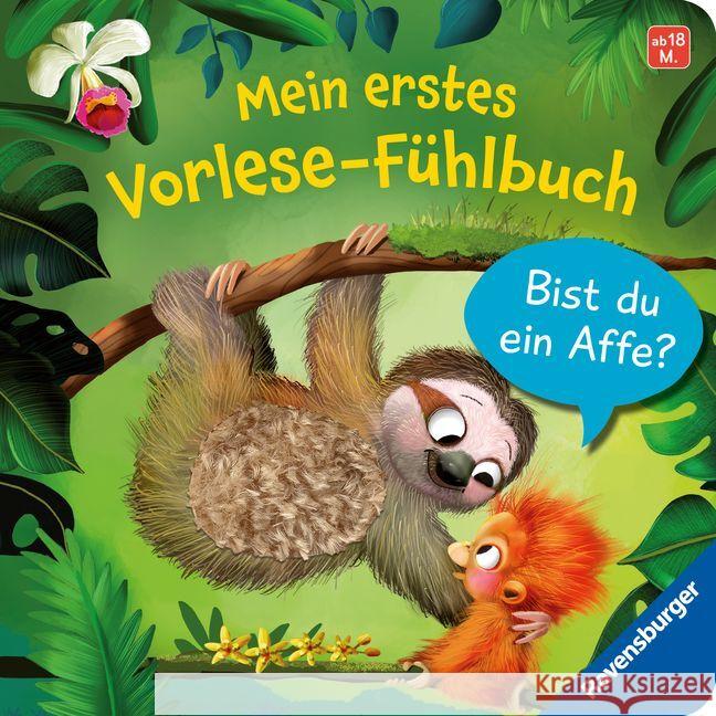 Mein erstes Vorlese-Fühlbuch: Bist du ein Affe? Orso, Kathrin Lena 9783473417971