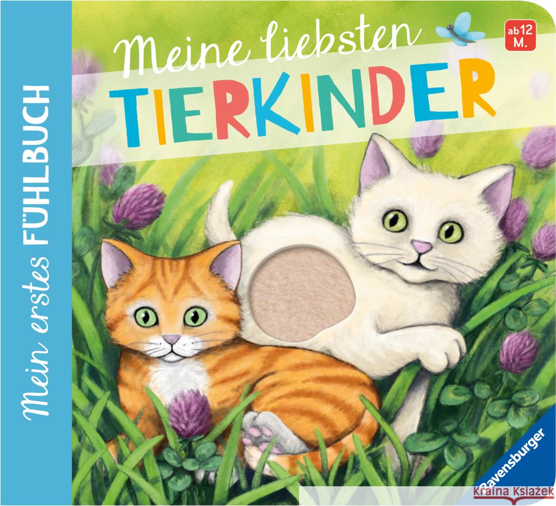 Mein erstes Fühlbuch: Meine liebsten Tierkinder Grimm, Sandra 9783473418527