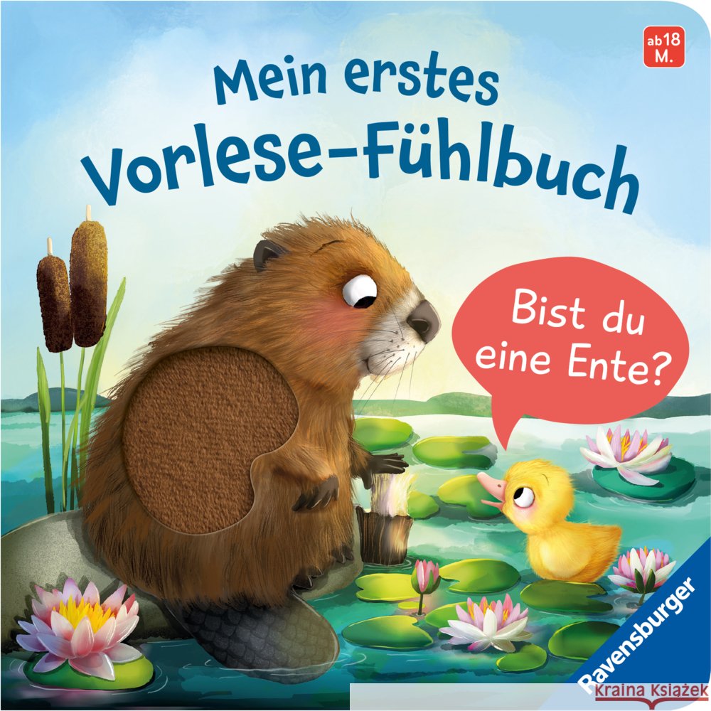 Mein erstes Vorlese-Fühlbuch: Bist du eine Ente? Orso, Kathrin Lena 9783473418732 Ravensburger Verlag
