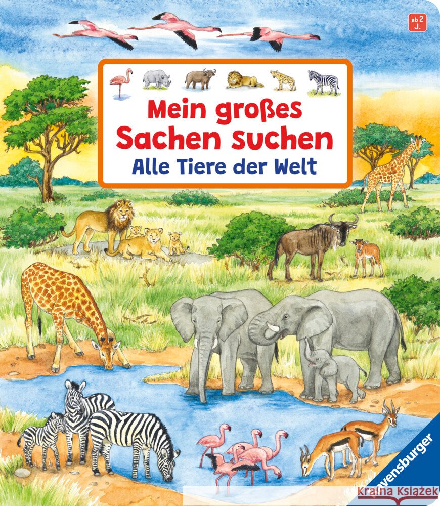 Mein großes Sachen suchen: Alle Tiere der Welt Gernhäuser, Susanne 9783473419111 Ravensburger Verlag