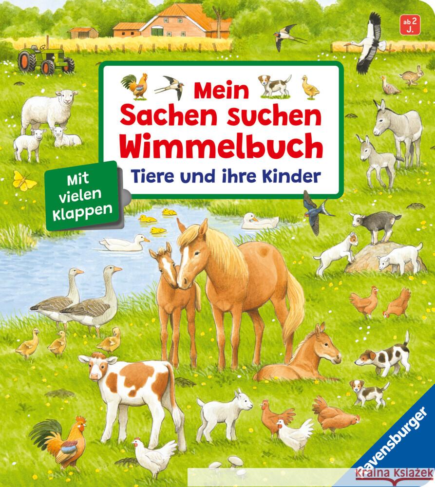 Mein Sachen suchen Wimmelbuch: Tiere und ihre Kinder Gernhäuser, Susanne 9783473419166