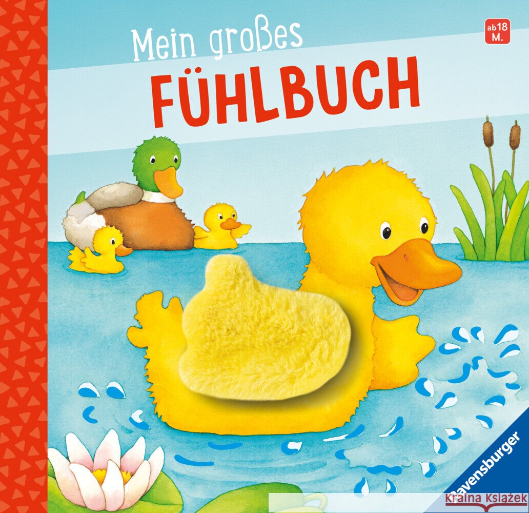 Mein großes Fühlbuch Grimm, Sandra 9783473420223 Ravensburger Verlag