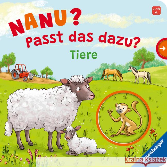 Nanu? Passt das dazu? Tiere Penners, Bernd 9783473420261