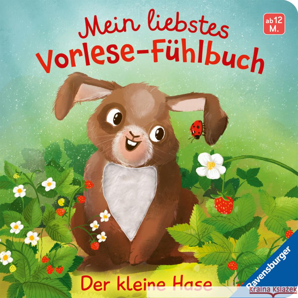 Mein liebstes Vorlese-Fühlbuch: Der kleine Hase. Ein erstes Buch mit kuscheligen Fühlteilen Höck, Maria 9783473420698