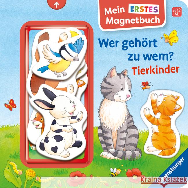 Mein erstes Magnetbuch: Wer gehört zu wem? Tierkinder - Magnet-Spielbuch ab 12 Monaten, Kinderbuch ab 1 Jahr Grimm, Sandra 9783473421664