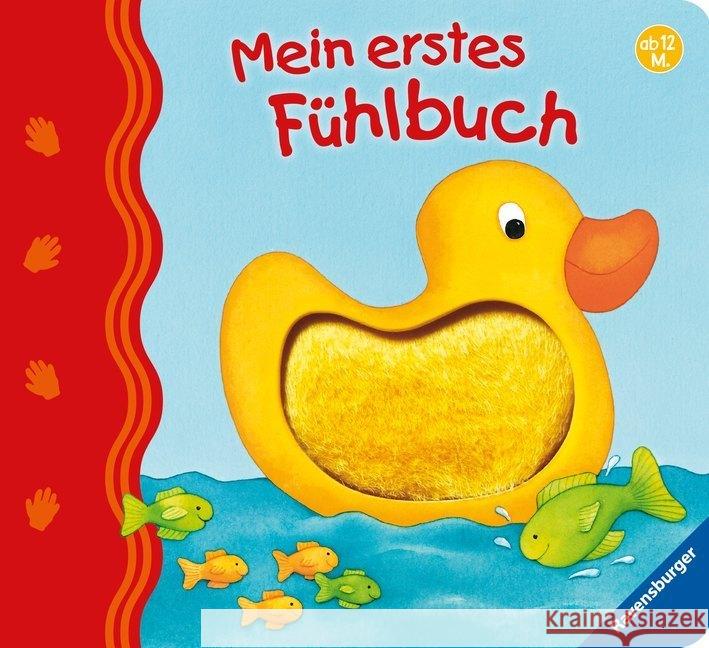 Mein erstes Fühlbuch Grimm, Sandra; Neubacher-Fesser, Monika 9783473432936 Ravensburger Buchverlag