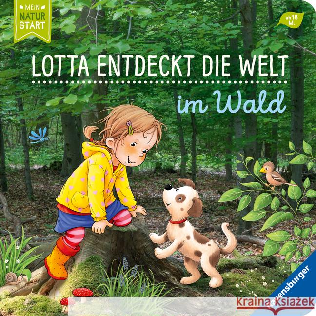 Lotta entdeckt die Welt: Im Wald Grimm, Sandra 9783473438785