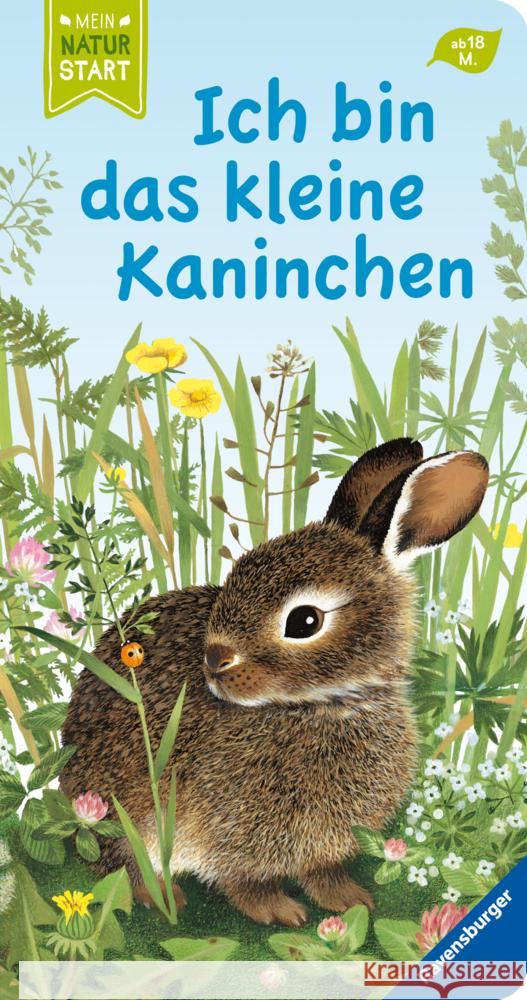 Ich bin das kleine Kaninchen Wiencirz, Gerlinde 9783473439812 Ravensburger Verlag