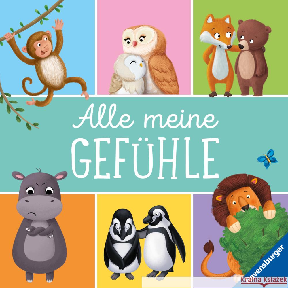 Alle meine Gefühle (6 Bilderbuchgeschichten in einem Band für Kinder ab 3 Jahren) Carry, Gemma 9783473463671 Ravensburger Verlag