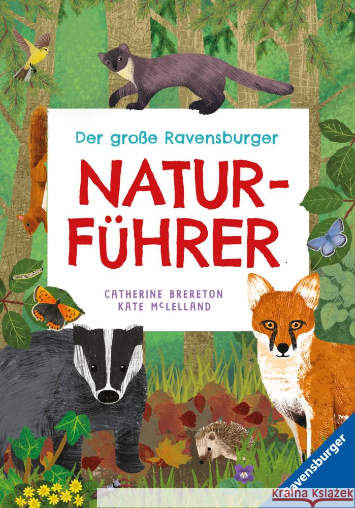 Der große Ravensburger Naturführer - Naturwissen für Kinder ab 5 Jahren Brereton , Catherine 9783473480531