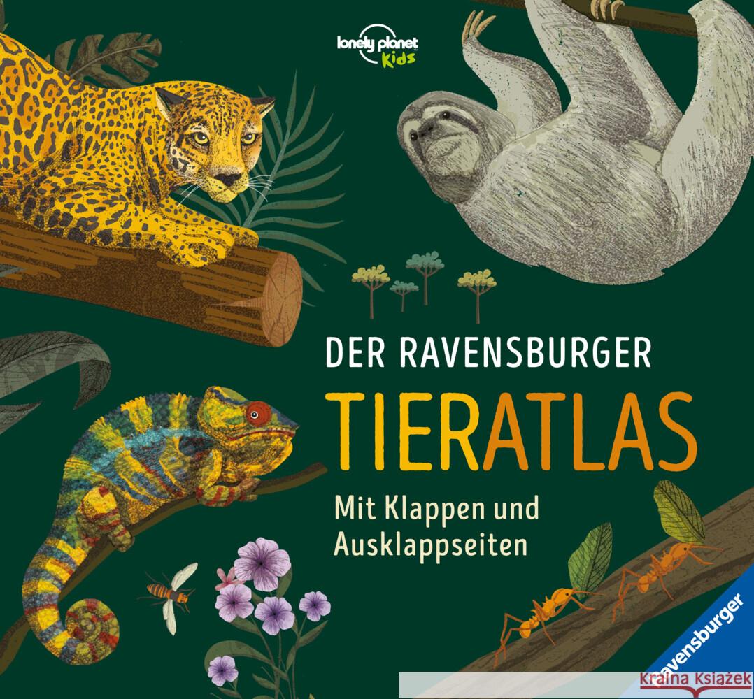 Der Ravensburger Tieratlas - eine tierisch spannende Reise rund um die Welt Rooney, Anne 9783473480623 Ravensburger Verlag