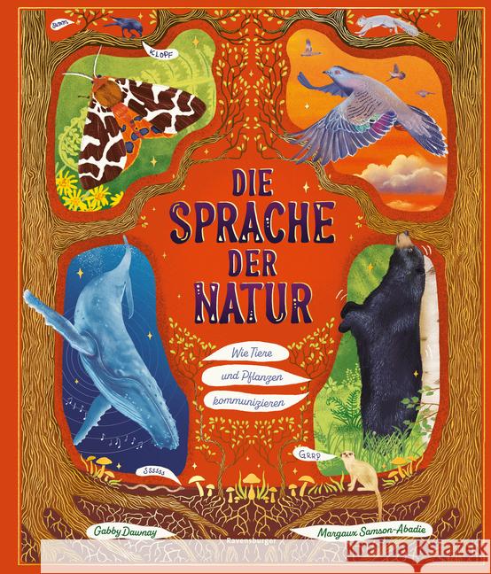Die Sprache der Natur Dawnay, Gabby 9783473480869 Ravensburger Verlag