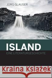 Island - Eine Literaturgeschichte Glauser, Jürg 9783476023216