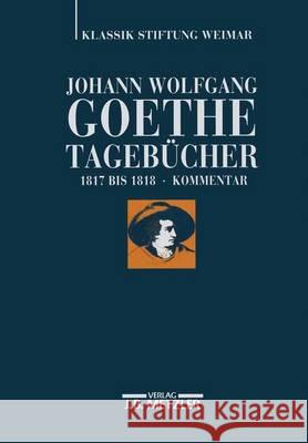 Johann Wolfgang Goethe: Tagebücher: Band Vi,2 Kommentar (1817-1818) Döhler, Andreas 9783476023308