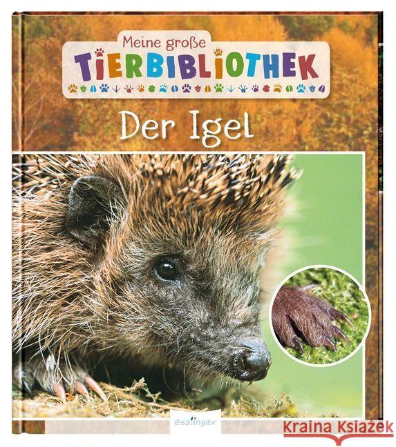 Meine große Tierbibliothek: Der Igel Tracqui, Valérie 9783480235735 Esslinger in der Thienemann-Esslinger Verlag 