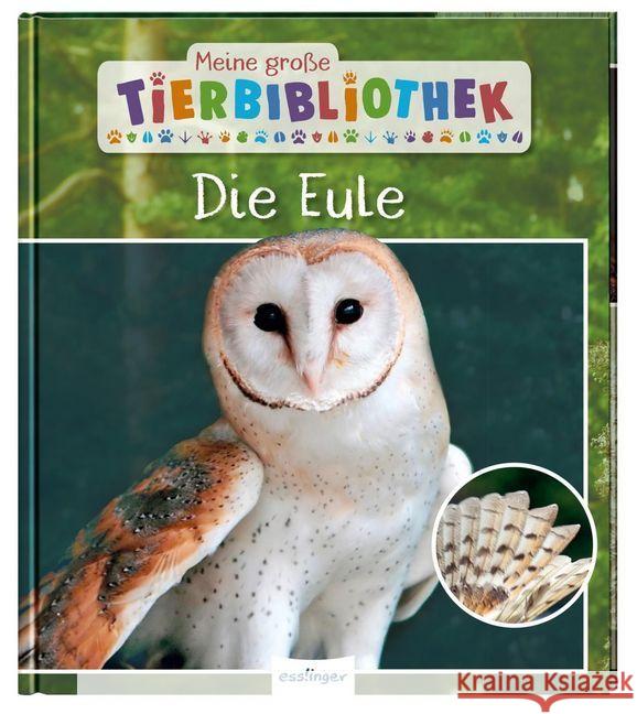 Meine große Tierbibliothek: Die Eule Poschadel, Jens 9783480235742 Esslinger in der Thienemann-Esslinger Verlag 