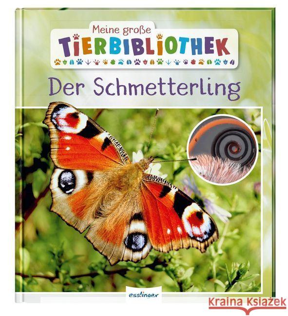 Meine große Tierbibliothek: Der Schmetterling Tracqui, Valérie 9783480236206 Esslinger in der Thienemann-Esslinger Verlag 