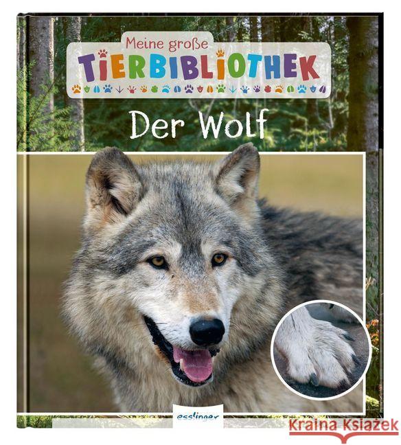 Meine große Tierbibliothek: Der Wolf Havard, Christian 9783480236213 Esslinger in der Thienemann-Esslinger Verlag 