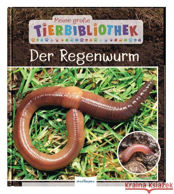 Meine große Tierbibliothek: Der Regenwurm Tracqui, Valérie 9783480236237 Esslinger in der Thienemann-Esslinger Verlag 