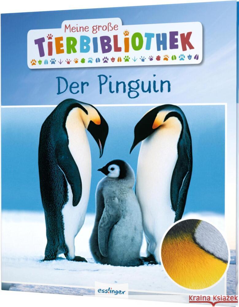 Meine große Tierbibliothek: Der Pinguin Poschadel, Jens 9783480236398