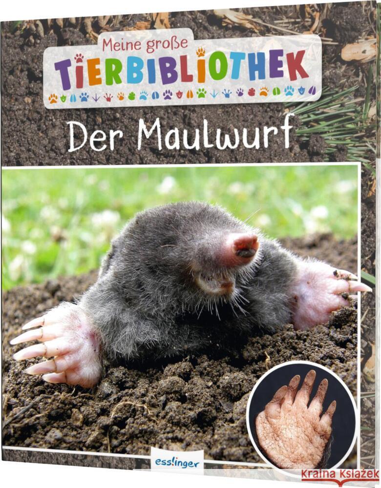 Meine große Tierbibliothek: Der Maulwurf Poschadel, Jens 9783480236572 Esslinger in der Thienemann-Esslinger Verlag 