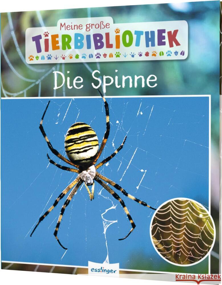 Meine große Tierbibliothek: Die Spinne Poschadel, Jens 9783480237128 Esslinger in der Thienemann-Esslinger Verlag 