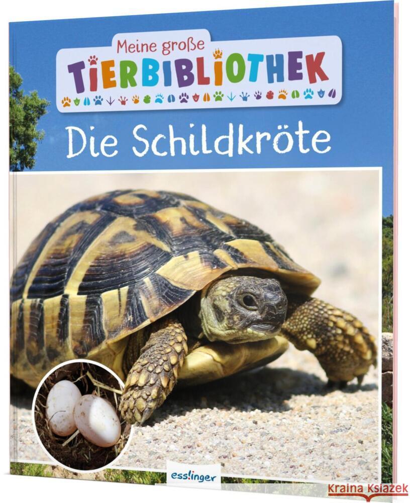 Meine große Tierbibliothek: Die Schildkröte Gutjahr, Axel 9783480237166 Esslinger in der Thienemann-Esslinger Verlag 