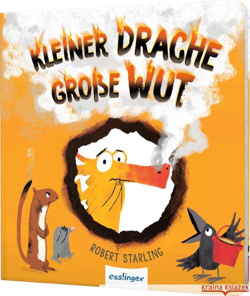Kleiner Drache Finn: Kleiner Drache, große Wut Starling, Robert 9783480237791 Esslinger in der Thienemann-Esslinger Verlag 