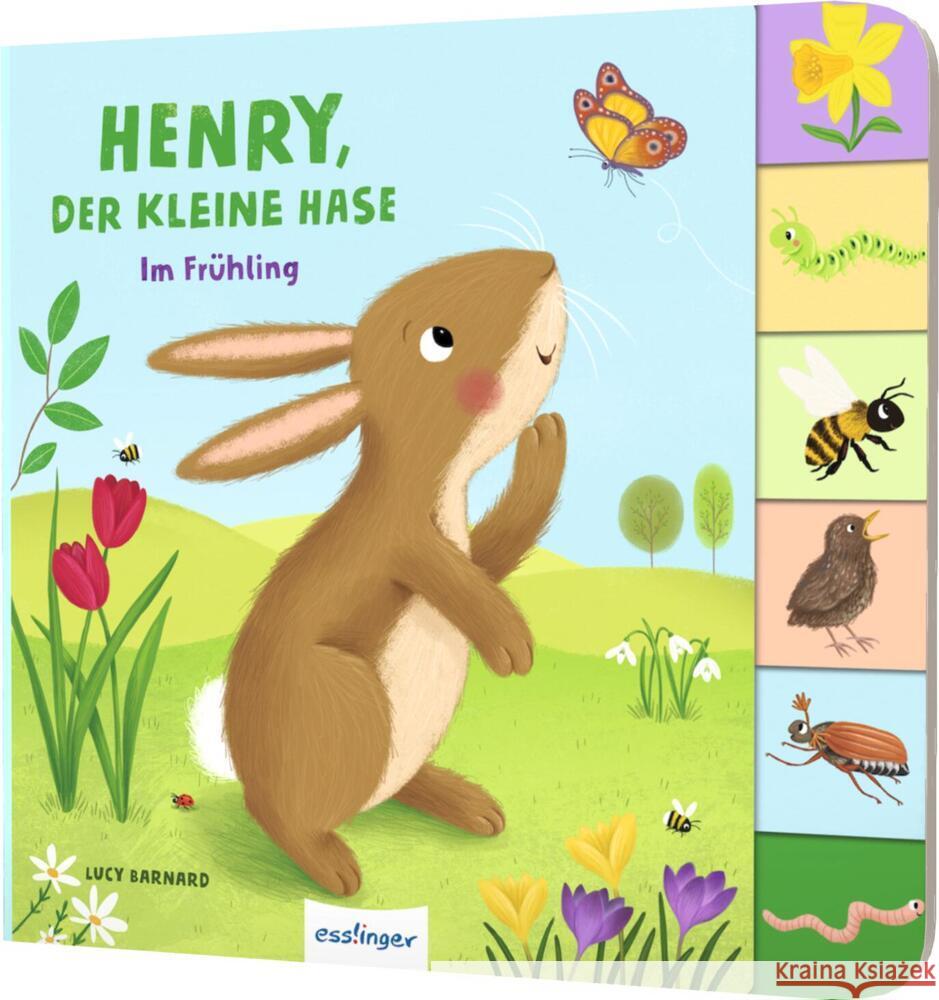 Henry, der kleine Hase Kiel, Anja 9783480238187 Esslinger in der Thienemann-Esslinger Verlag 