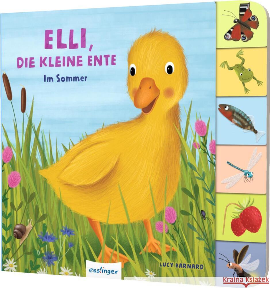 Elli, die kleine Ente Kiel, Anja 9783480238194 Esslinger in der Thienemann-Esslinger Verlag 