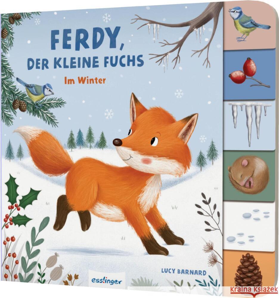 Mein erstes Jahreszeitenbuch: Ferdy, der kleine Fuchs Kiel, Anja 9783480238217