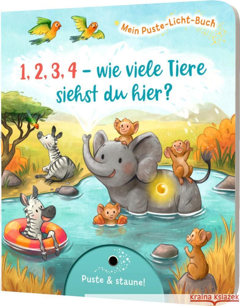Mein Puste-Licht-Buch: 1,2,3,4 - wie viele Tiere siehst du hier? Krämer, Fee 9783480238361 Esslinger in der Thienemann-Esslinger Verlag 