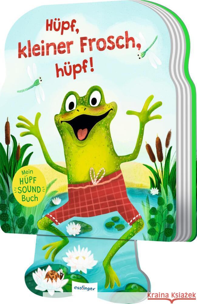 Mein Hüpf-Sound-Buch Orso, Kathrin Lena 9783480239603