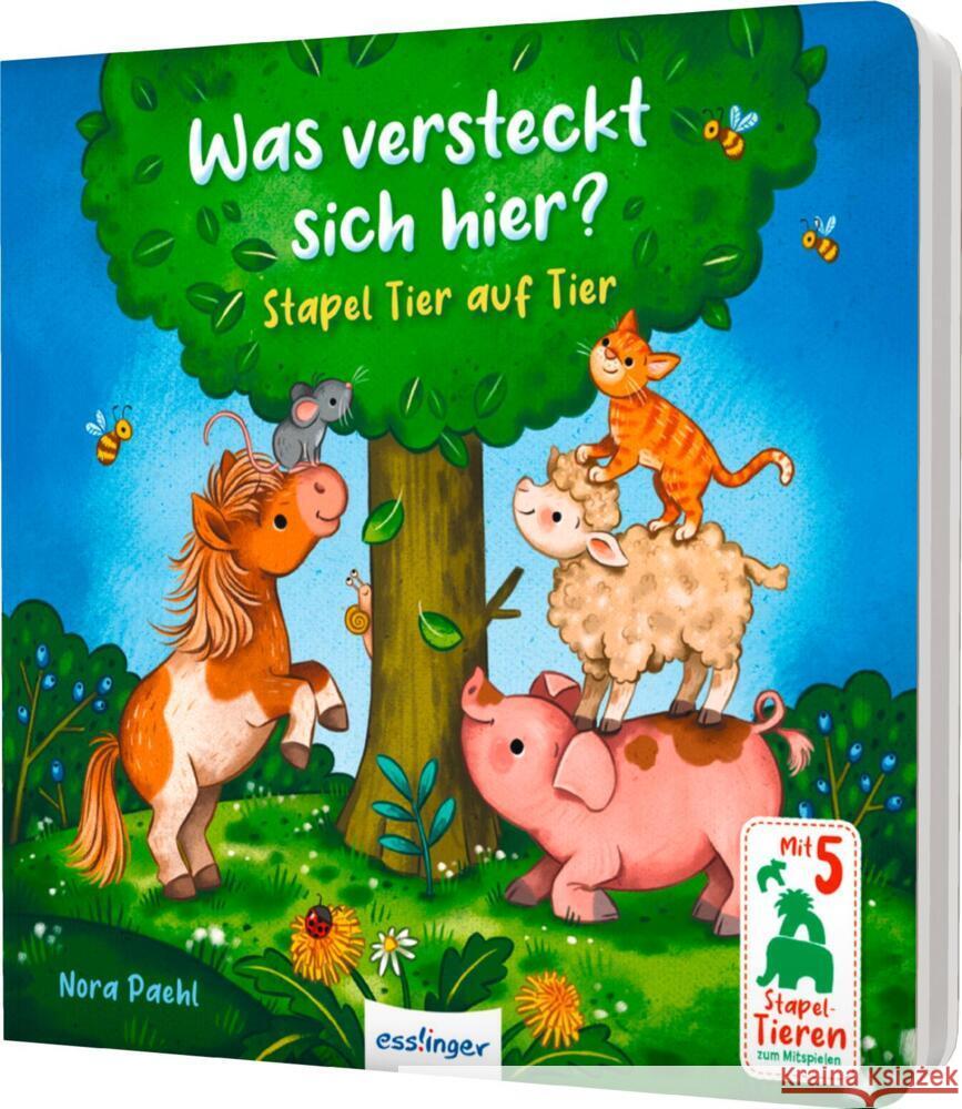 Was versteckt sich hier? Paehl, Nora 9783480239627 Esslinger in der Thienemann-Esslinger Verlag 