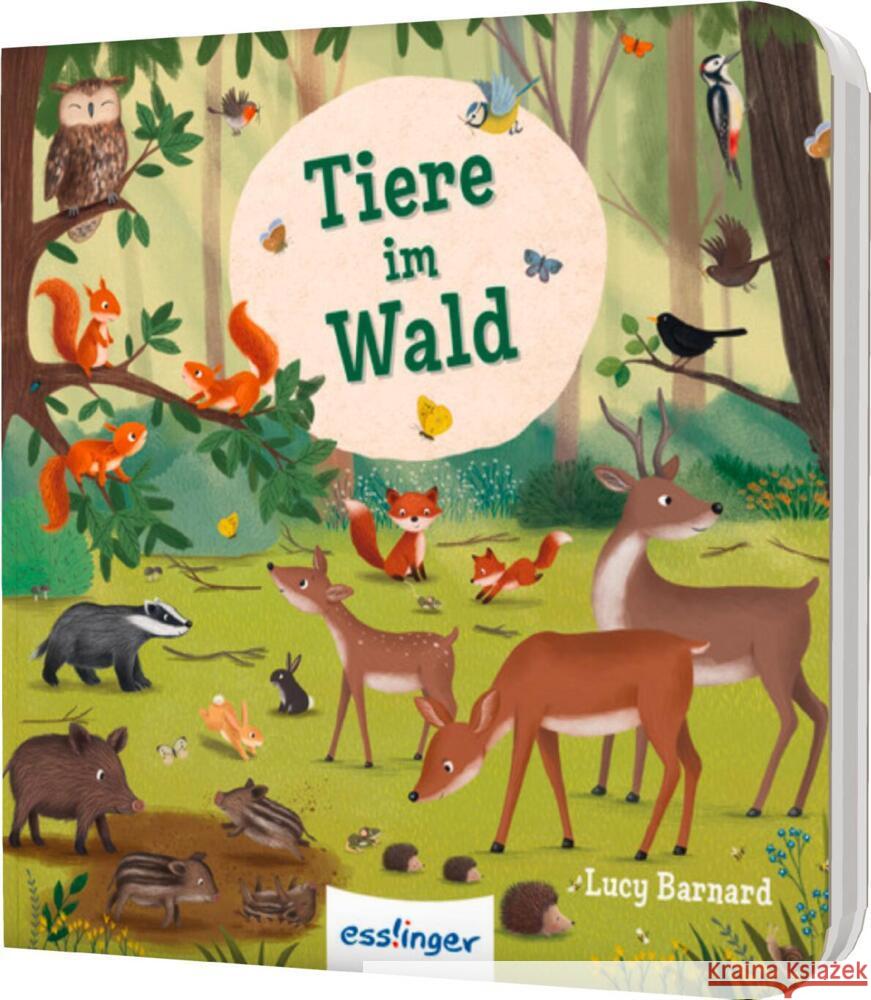 Mein erstes Natur-Wimmelbuch Schumann, Sibylle 9783480239818