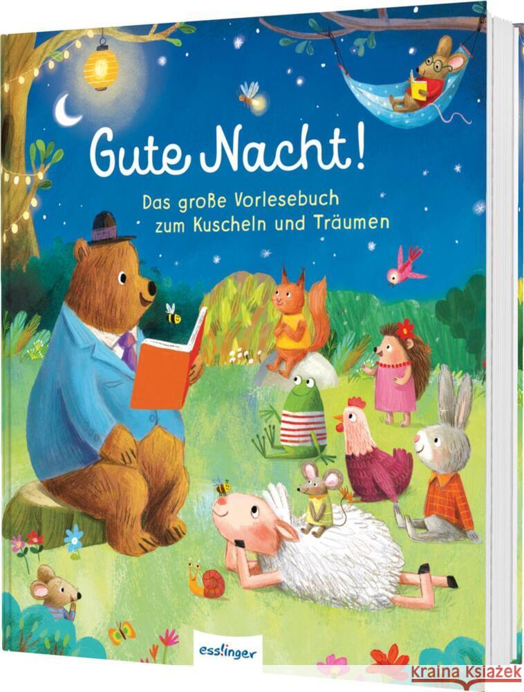 Gute Nacht! Harman, Julie 9783480240876