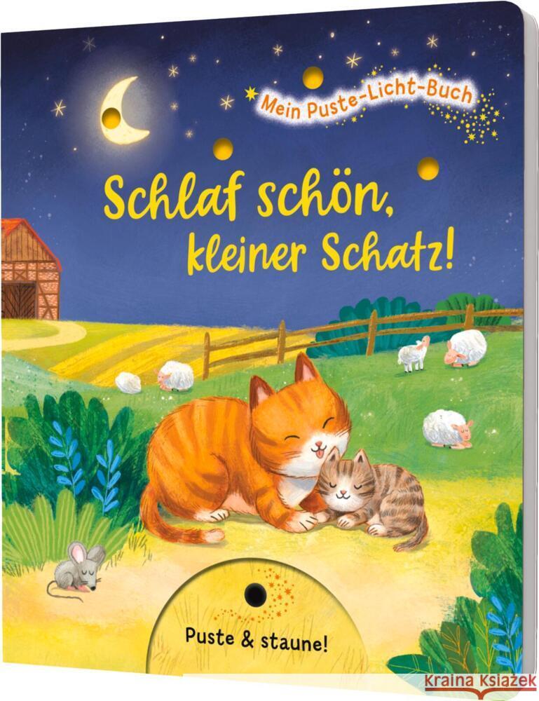 Mein Puste-Licht-Buch: Schlaf schön, kleiner Schatz! Ottenschläger, Madlen 9783480240944 Esslinger in der Thienemann-Esslinger Verlag 