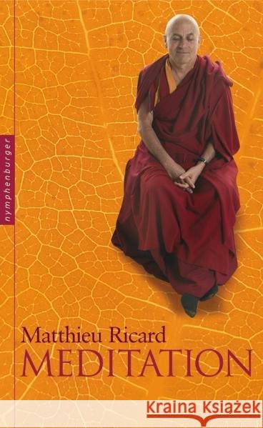 Meditation Ricard, Matthieu 9783485029575