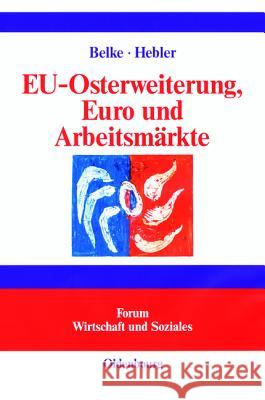 EU-Osterweiterung, Euro und Arbeitsmärkte Ansgar Belke, Martin Hebler 9783486258738 Walter de Gruyter