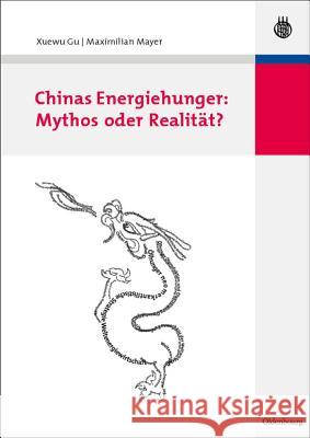 Chinas Energiehunger: Mythos oder Realität? Gu, Xuewu Mayer, Maximilian  9783486584912