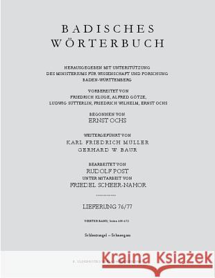Schlenzangel-Schneegans  9783486586497 Oldenbourg Wissenschaftsverlag
