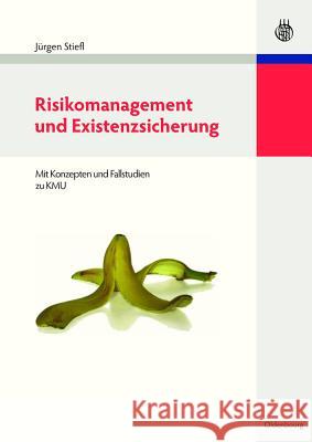 Risikomanagement Und Existenzsicherung Jürgen Stiefl 9783486597530 Walter de Gruyter