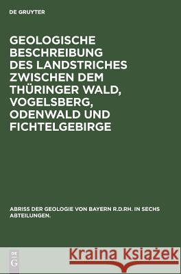 Geologische Beschreibung des Landstriches zwischen dem Thüringer Wald, Vogelsberg, Odenwald und Fichtelgebirge Schuster, Mattheus 9783486758887