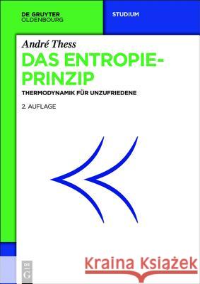 Das Entropieprinzip Thess, André 9783486760453 De Gruyter Oldenbourg