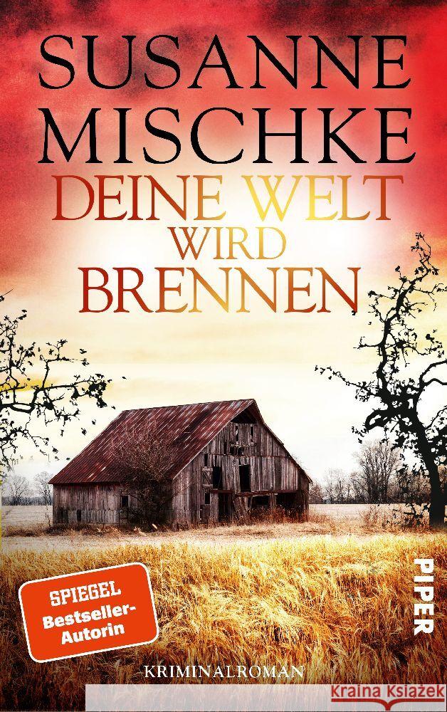 Deine Welt wird brennen Mischke, Susanne 9783492063739 Piper