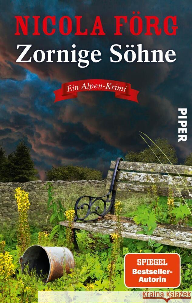 Zornige Söhne Förg, Nicola 9783492064156