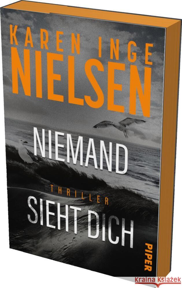 Niemand sieht dich Nielsen, Karen Inge 9783492067126