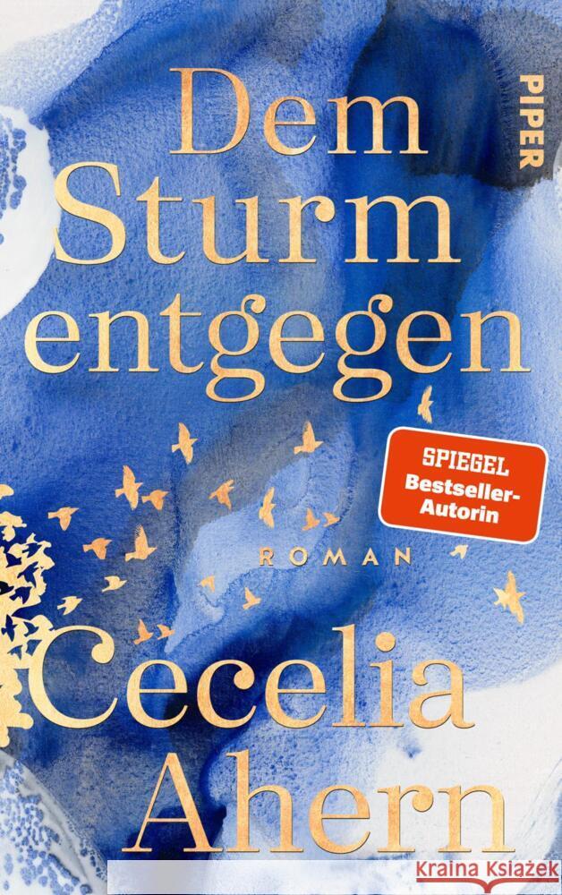 Dem Sturm entgegen Ahern, Cecelia 9783492071819