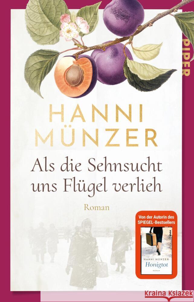 Als die Sehnsucht uns Flügel verlieh Münzer, Hanni 9783492317436